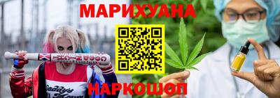 гашик Будённовск