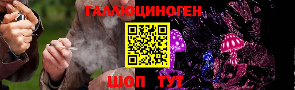 Галлюциногенные грибы Psilocybine cubensis  Вход с VPN  Галлюциногенные грибы Magic Shrooms  Нефтекумск 