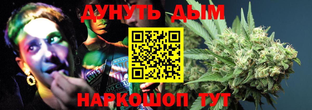 Бошки марихуана сатива Нефтекумск